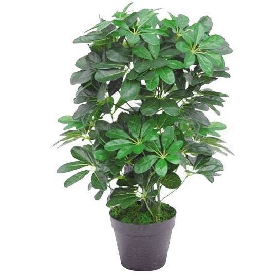 55 cm H Faux Foliage and Fern Plant in Plastic Pot Liner - Image 2